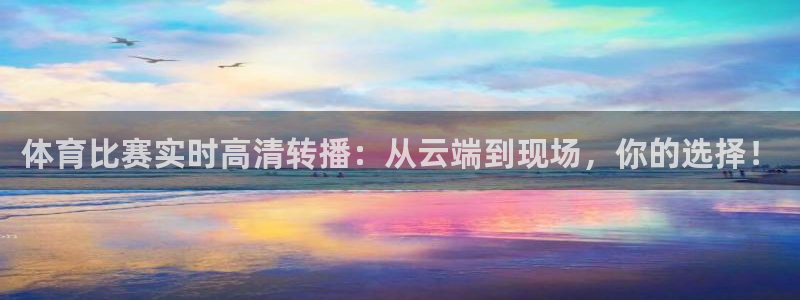 体育比赛实时高清转播：从云端到现场，你的选择！