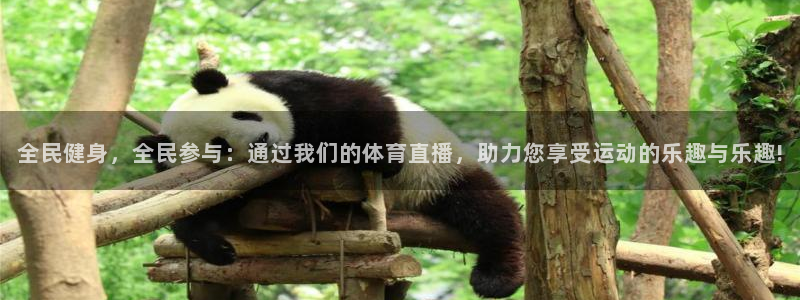 全民健身，全民参与：通过我们的体育直播，助力您享受运动的乐趣与乐趣!