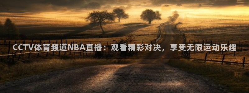 CCTV体育频道NBA直播：观看精彩对决，享受无限运动乐趣