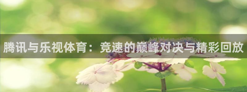 腾讯与乐视体育：竞速的巅峰对决与精彩回放